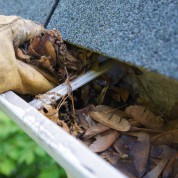 Fall Cleanup - Leaves in Gutter